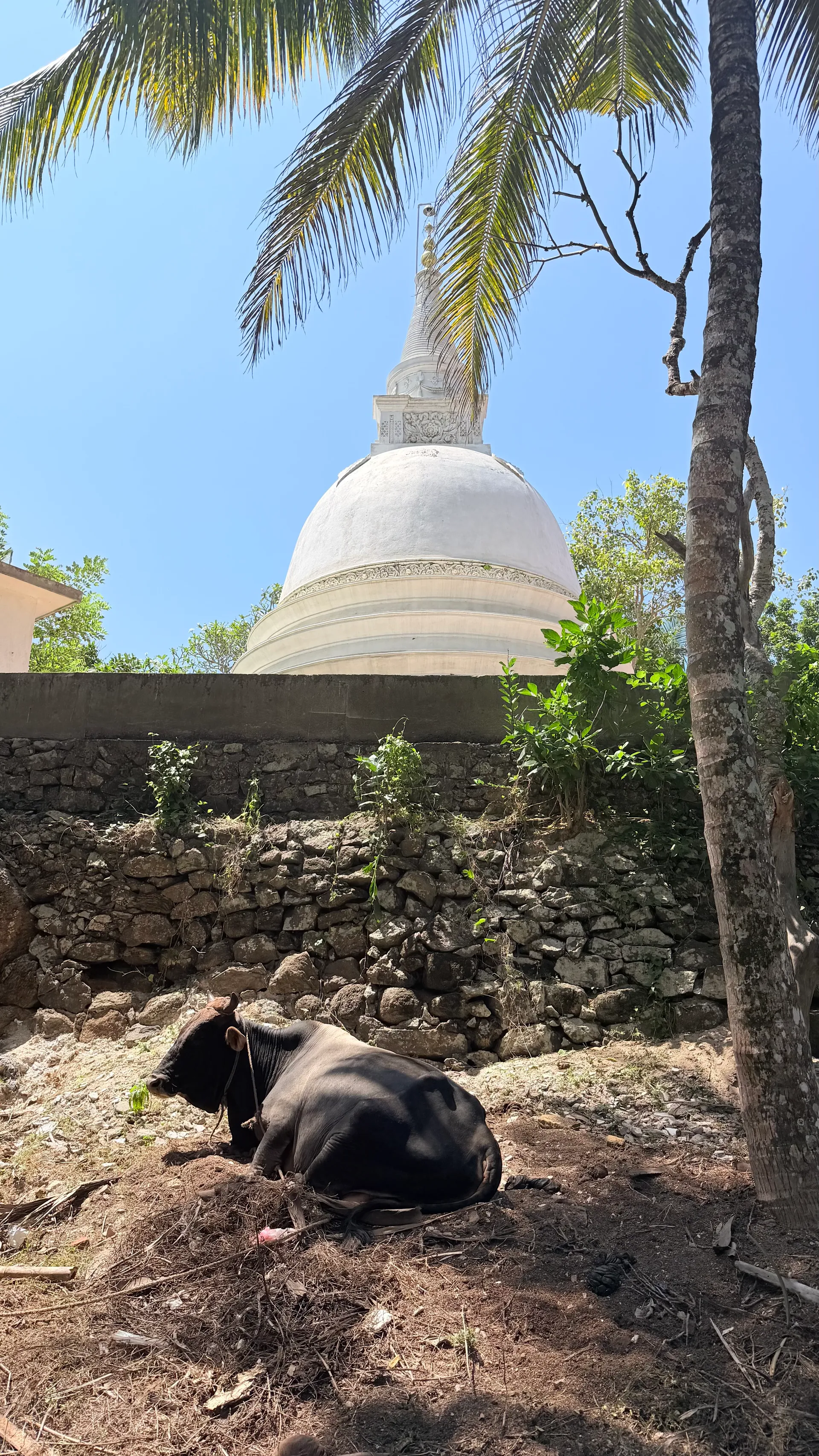 Ahungalla Village Tour by Tuk Tuk 2