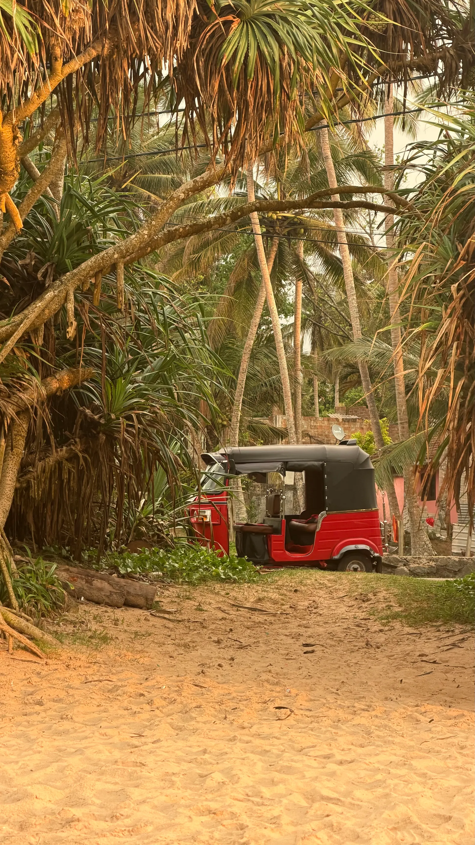 Ahungalla Village Tour by Tuk Tuk 3