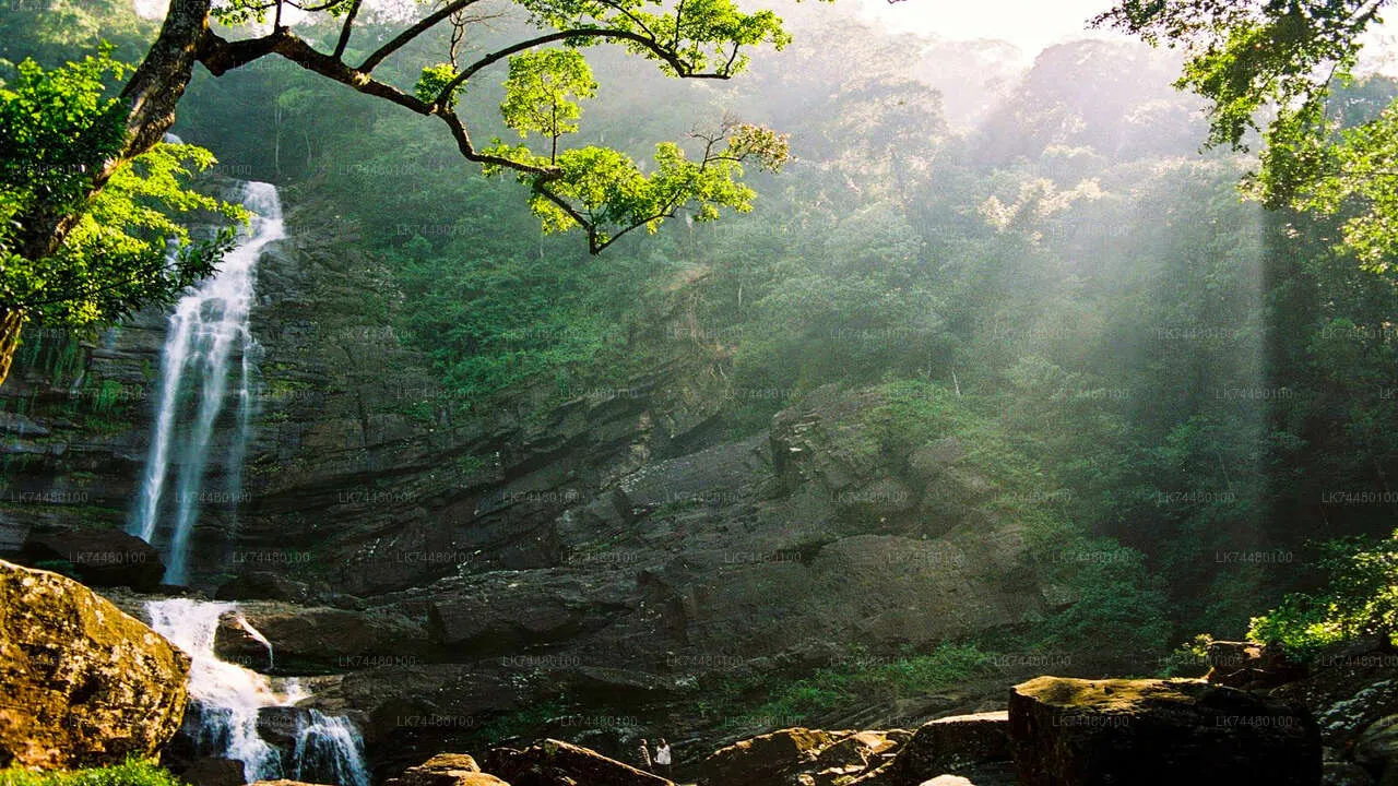 Sinharaja Tropical Rain Forest Tour 2