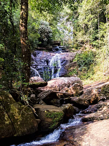 Sinharaja Tropical Rain Forest Tour 3