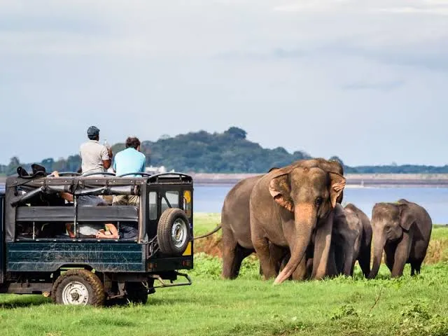 Udawalawe Park