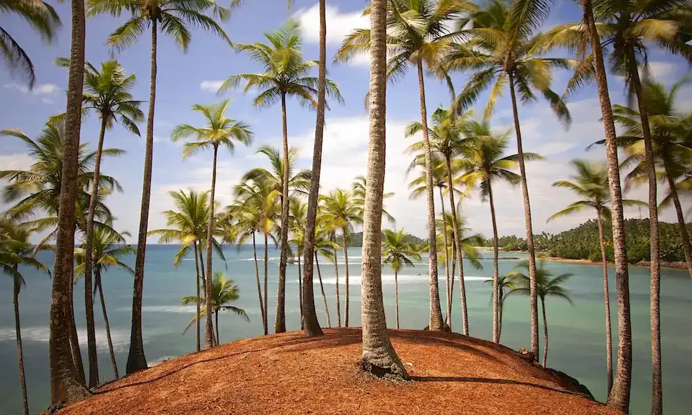 Mirissa