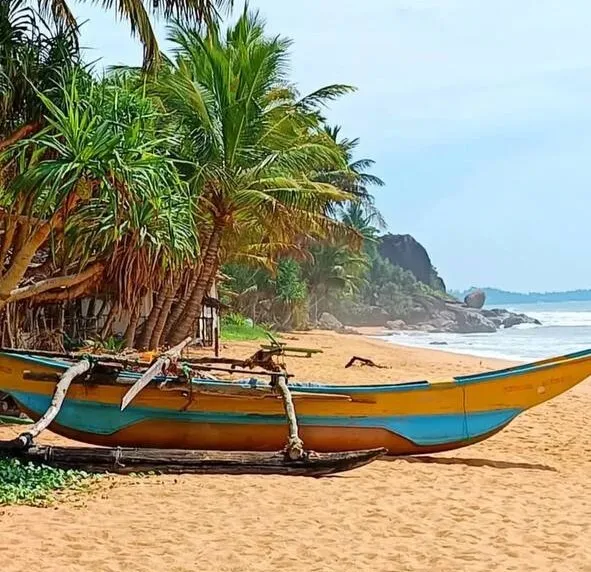 Kosgoda 2