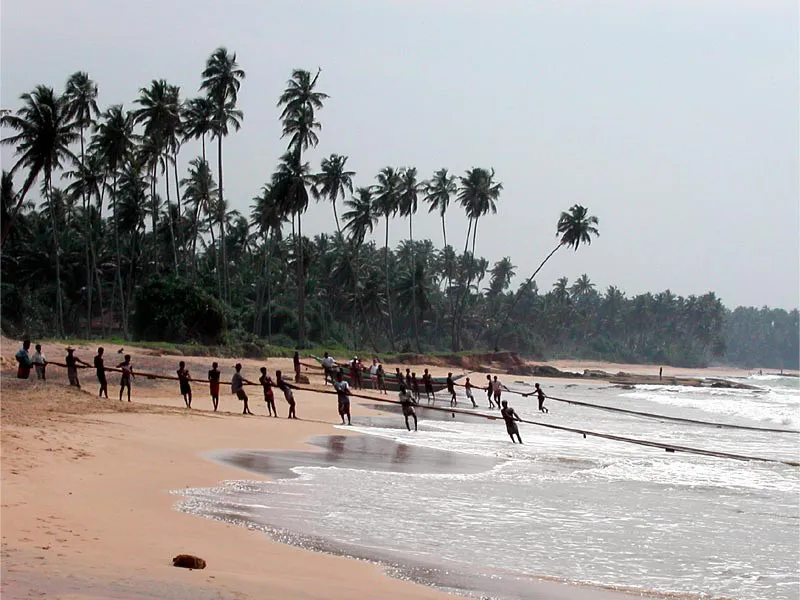 Kosgoda 3