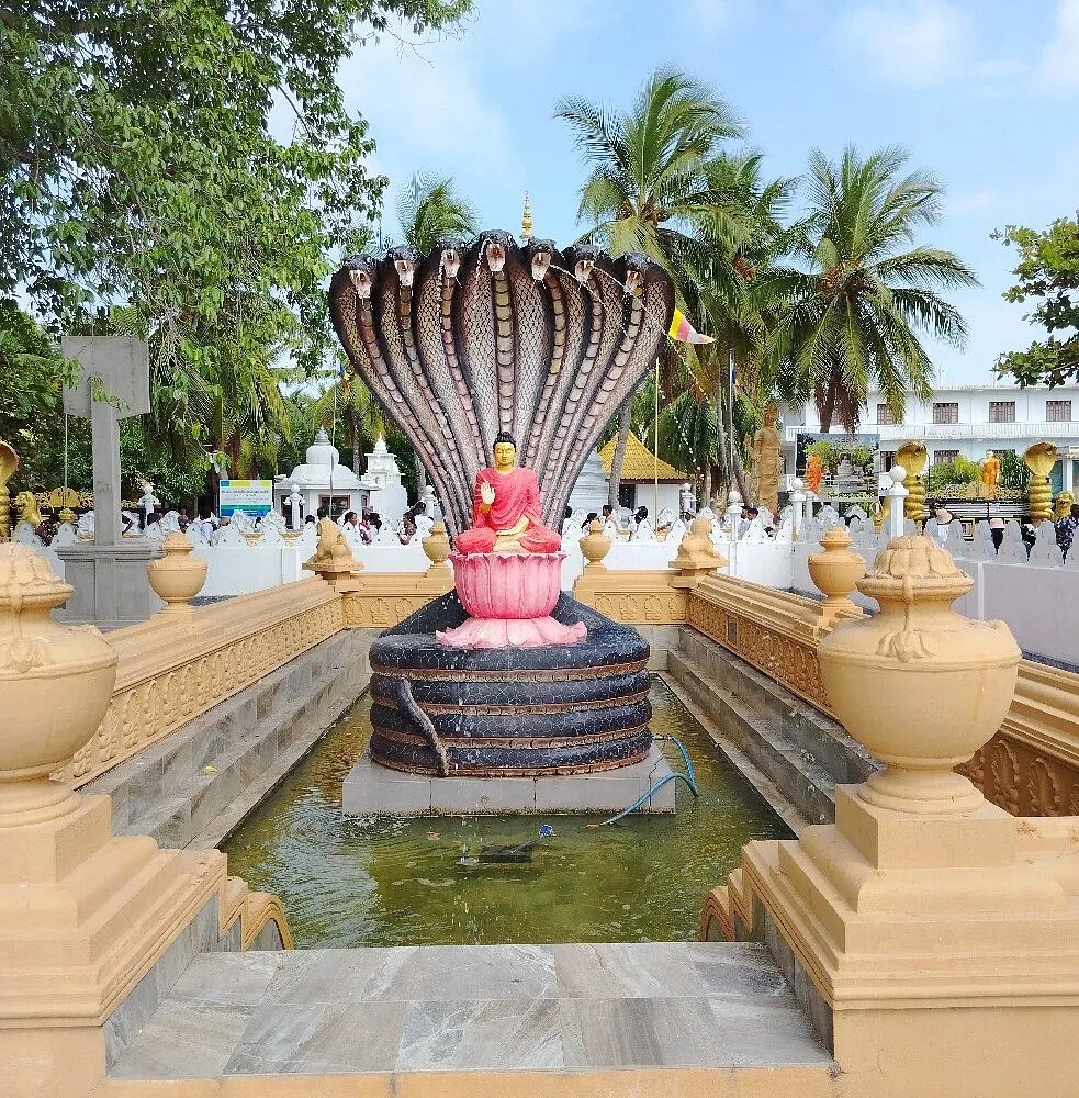 Jaffna 3